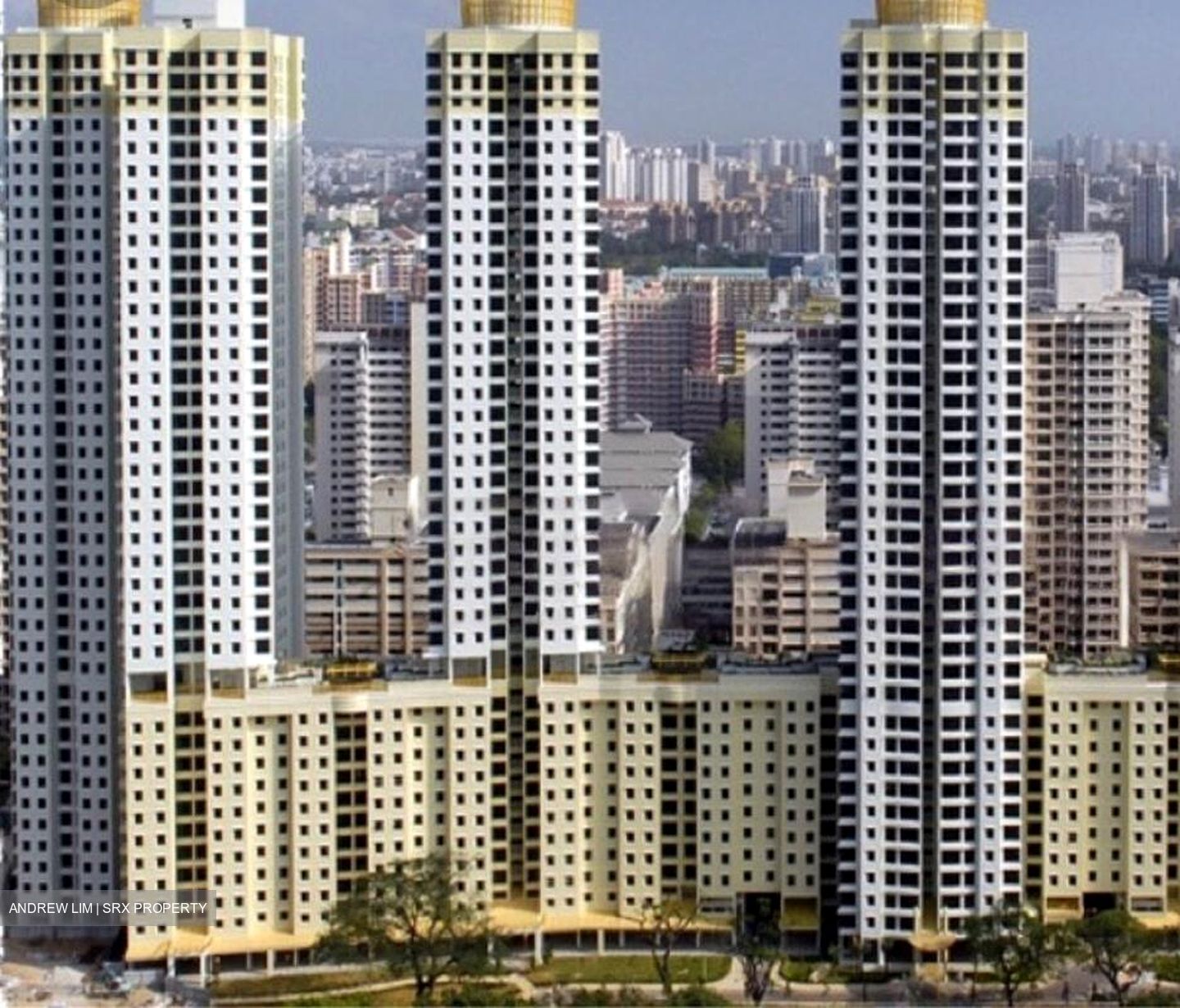 Blk 79E Central Horizon (Toa Payoh), HDB 4 Rooms #480135371